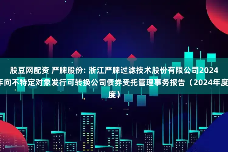 股豆网配资 严牌股份: 浙江严牌过滤技术股份有限公司2024年向不特定对象发行可转换公司债券受托管理事务报告（2024年度）