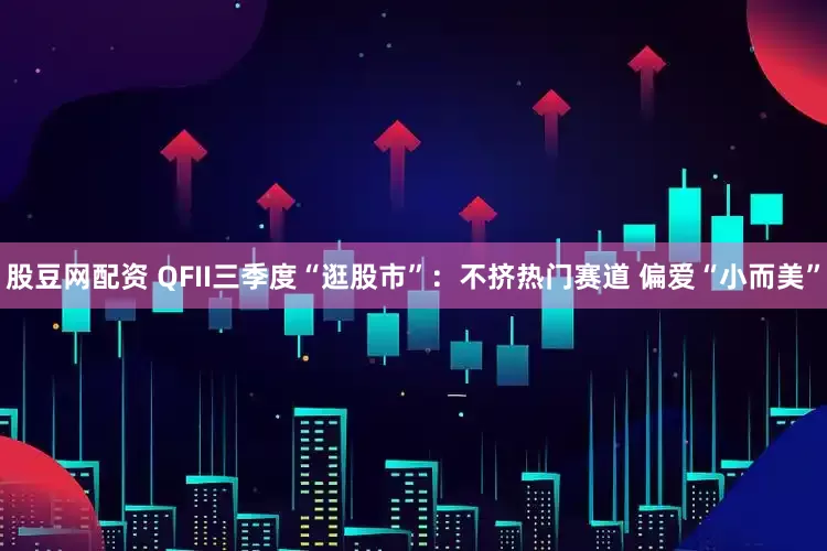 股豆网配资 QFII三季度“逛股市”：不挤热门赛道 偏爱“小而美”